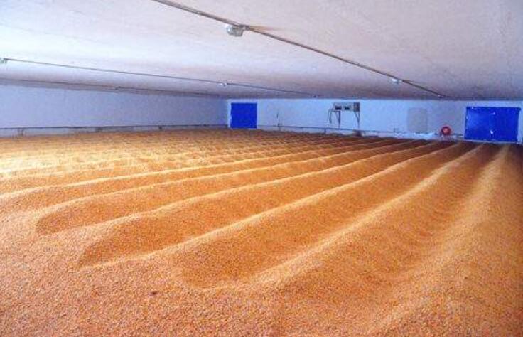 臭氧在糧食倉儲中殺菌消毒防黴的應用