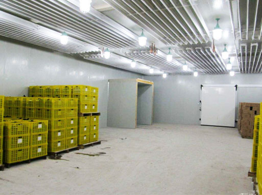 臭氧消毒機在冷庫倉庫中的應用機理（lǐ）