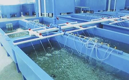 在（zài）工業循環冷（lěng）卻水中的應用