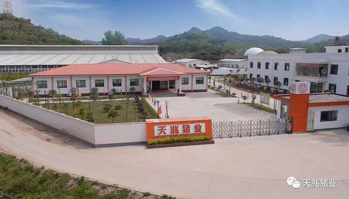 天兆豬（zhū）業集團