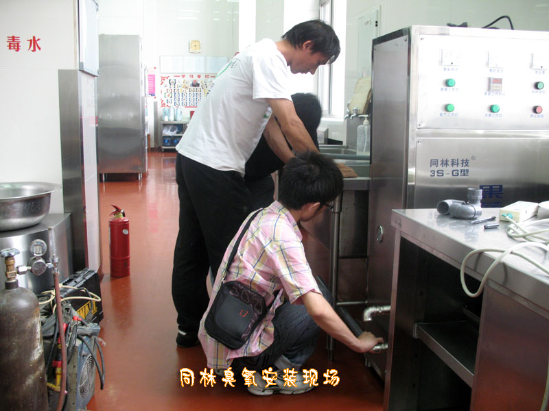 果（guǒ）蔬農藥降解消毒設備