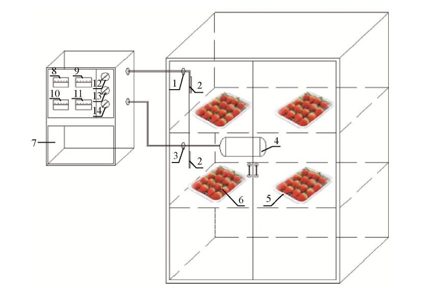 不同（tóng）濃度臭氧處理對草莓采後保鮮（xiān）時長的影（yǐng）響
